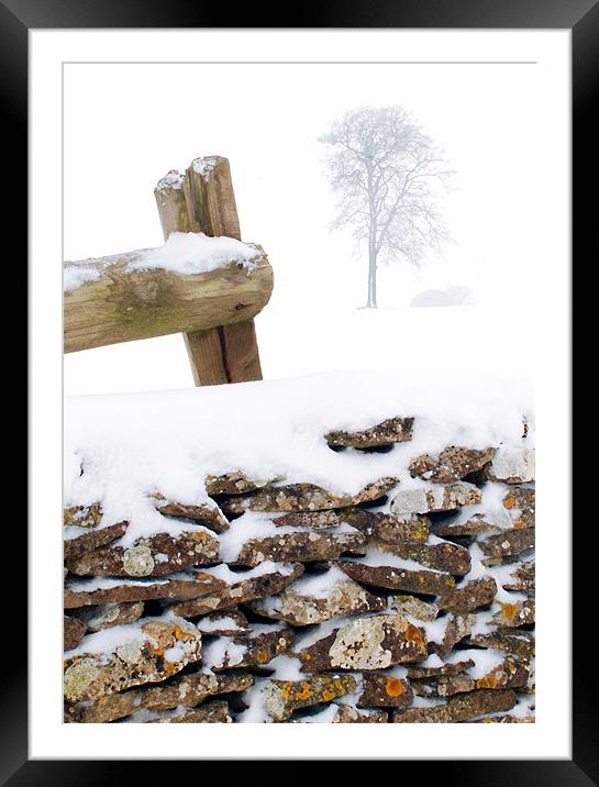 Cotswold drystone wall and field in winter Framed Mounted Print by Steve Smith