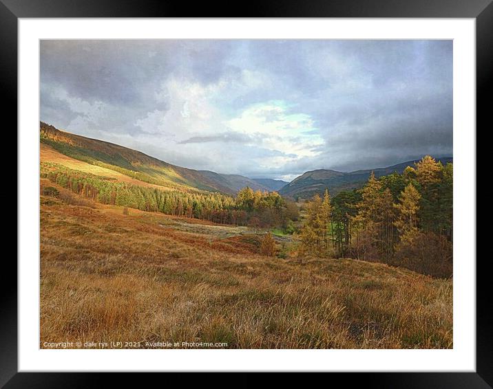 highland taste Framed Mounted Print by dale rys (LP)