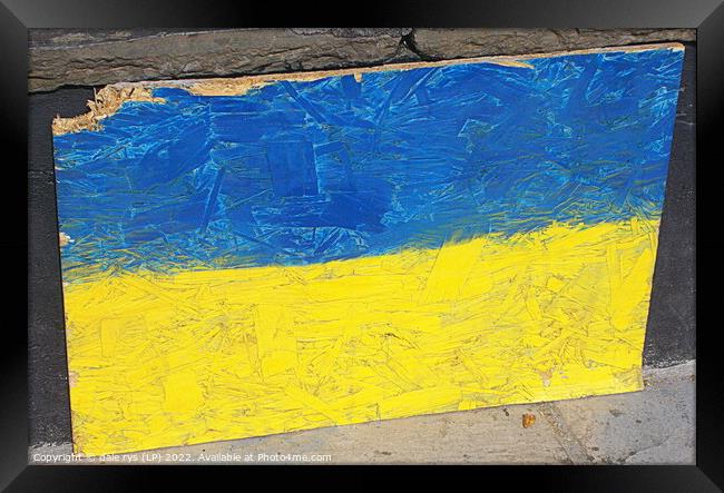 Ukraine flag  Framed Print by dale rys (LP)