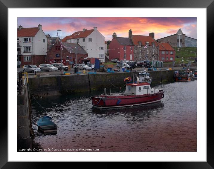 dunbar castle - dunbar harbor  Framed Mounted Print by dale rys (LP)