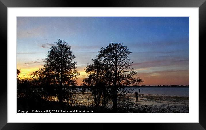 CYPRESS TREES florida sunset Framed Mounted Print by dale rys (LP)