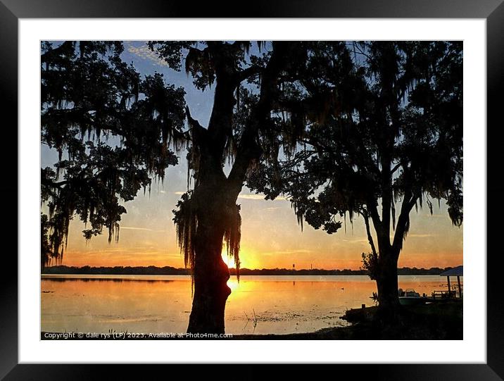 FLORIDA SUNRISE Framed Mounted Print by dale rys (LP)