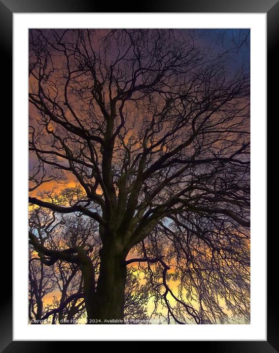 TREE'S IN WINTER Framed Mounted Print by dale rys (LP)