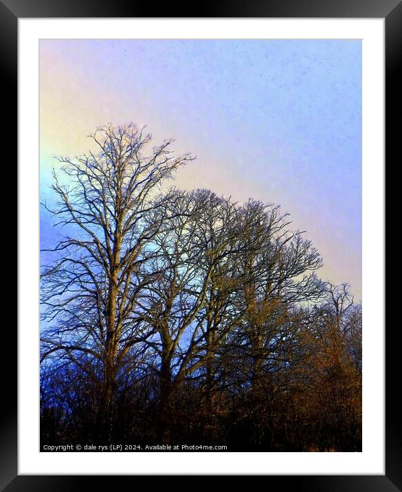 TREE'S IN WINTER RAIN Framed Mounted Print by dale rys (LP)