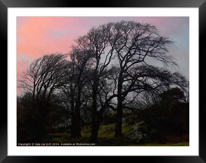 WINTER SUNSET Framed Mounted Print by dale rys (LP)