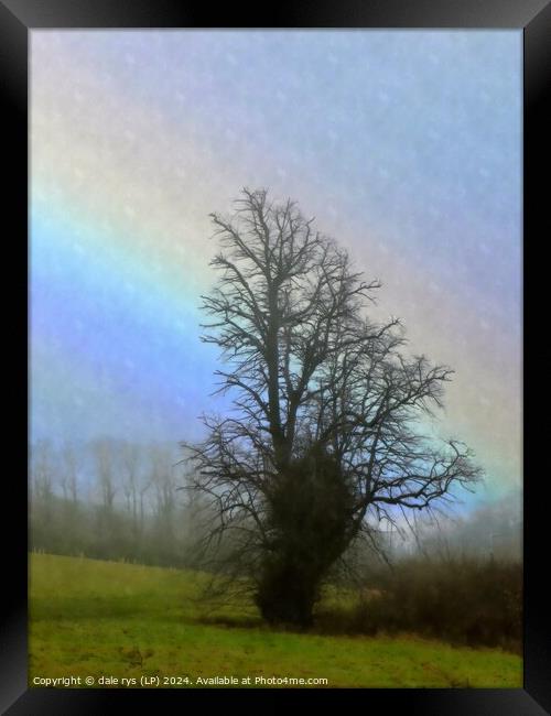TREE IN THE RAIN Framed Print by dale rys (LP)