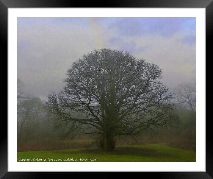 LONE MOODY TREE Framed Mounted Print by dale rys (LP)