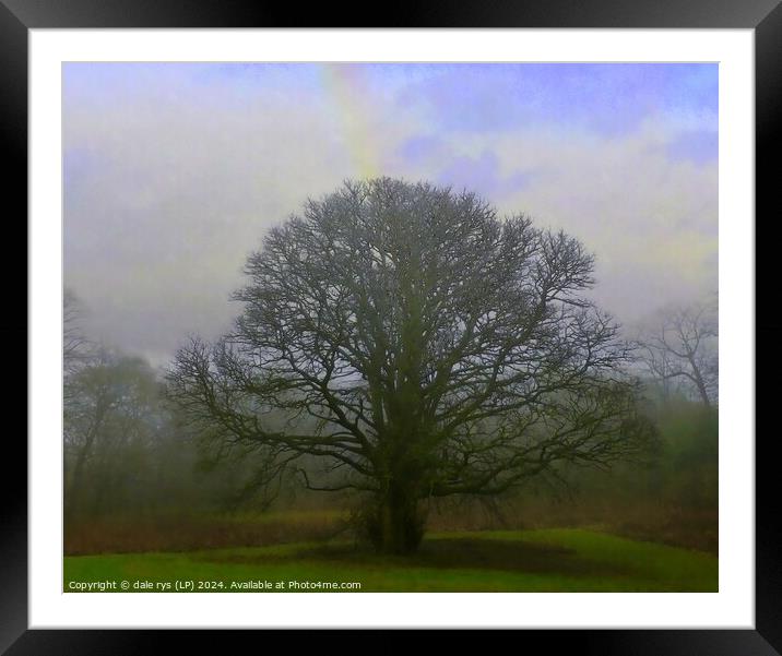 LONE MOODY TREE  Framed Mounted Print by dale rys (LP)