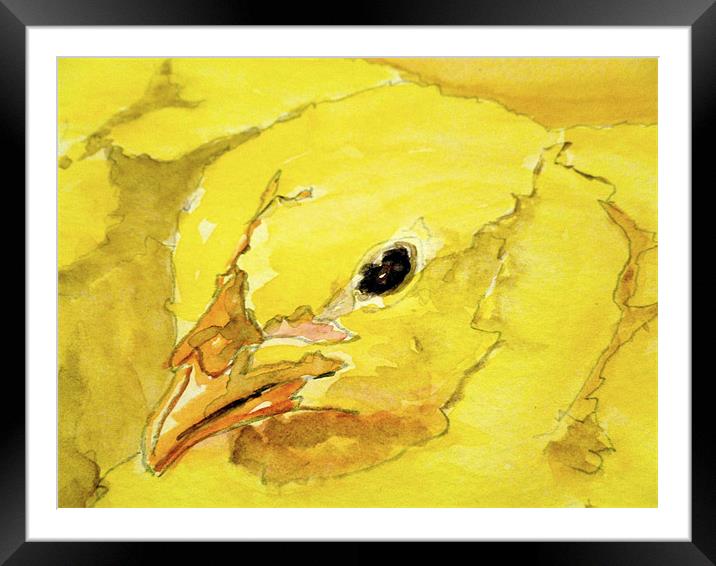 chick Framed Mounted Print by dale rys (LP)