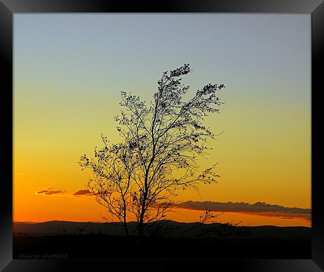 SUNSET ON THE HILL Framed Print by dale rys (LP)
