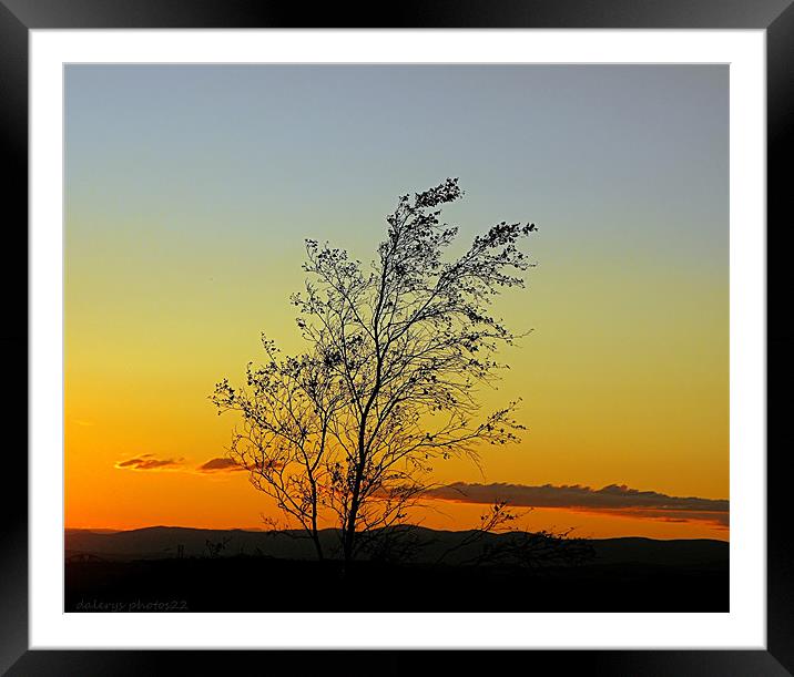 SUNSET ON THE HILL Framed Mounted Print by dale rys (LP)