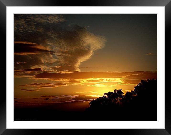 SUNSET OVER TREES Framed Mounted Print by dale rys (LP)