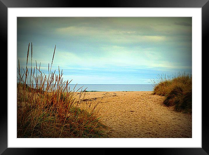 MORAY COAST Framed Mounted Print by dale rys (LP)