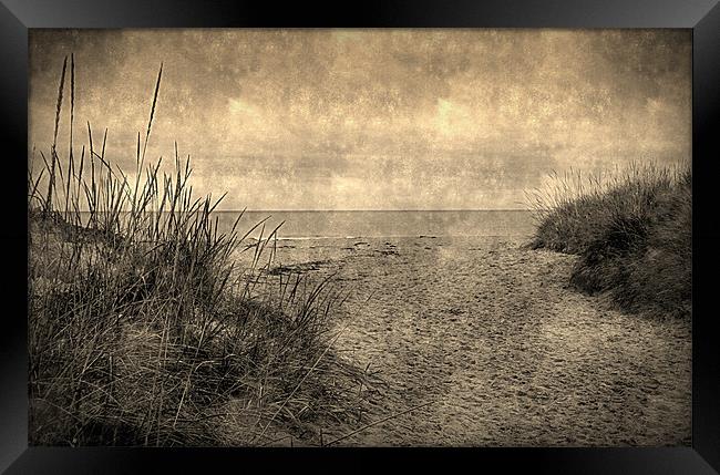 down at the beach Framed Print by dale rys (LP)