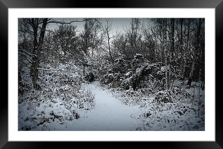 winter wonderland Framed Mounted Print by dale rys (LP)