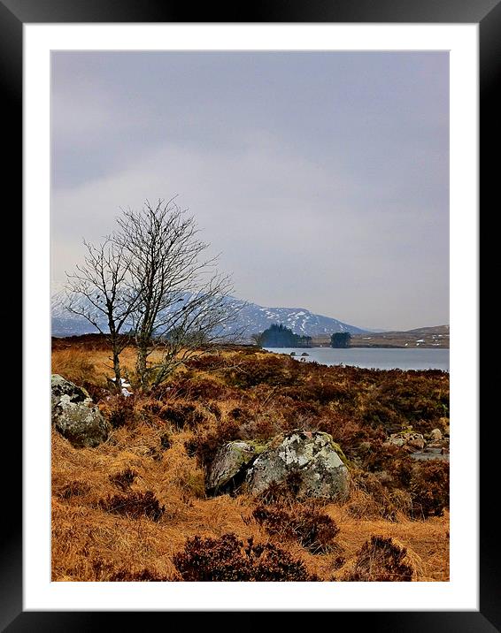 lone tree of corrour Framed Mounted Print by dale rys (LP)