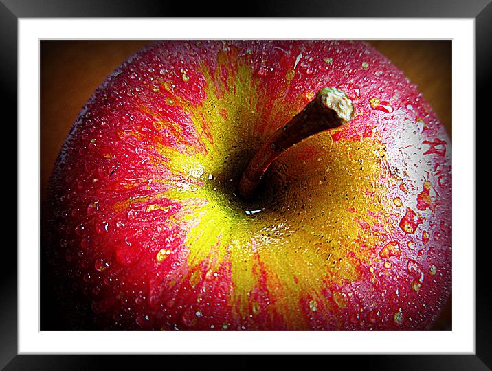 in living color Framed Mounted Print by dale rys (LP)