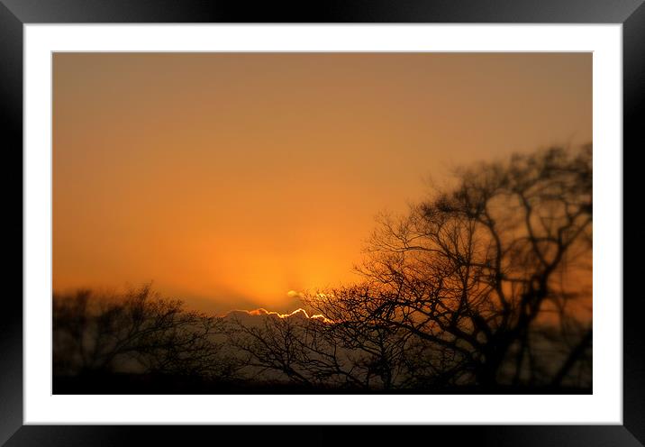 soft sunset Framed Mounted Print by dale rys (LP)