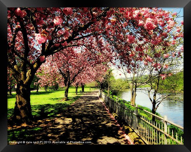 along the river forth-stirling Framed Print by dale rys (LP)