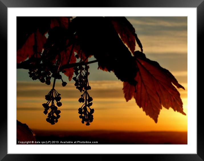 beauty of sunset Framed Mounted Print by dale rys (LP)
