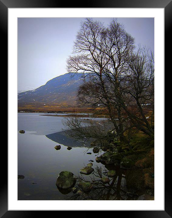 bareness of winter Framed Mounted Print by dale rys (LP)