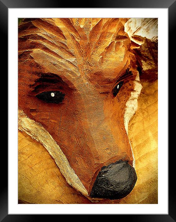 foxs break Framed Mounted Print by dale rys (LP)