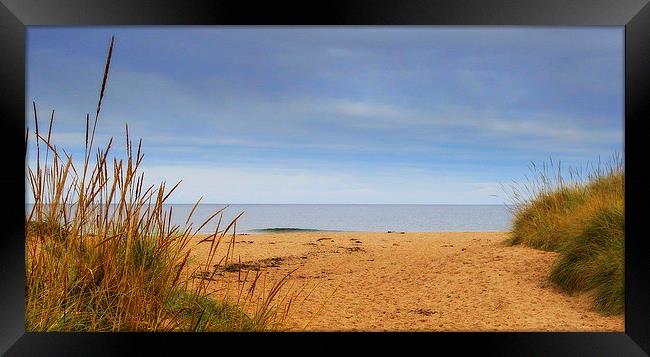 scottish coast Framed Print by dale rys (LP)