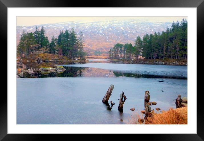 highland mist Framed Mounted Print by dale rys (LP)