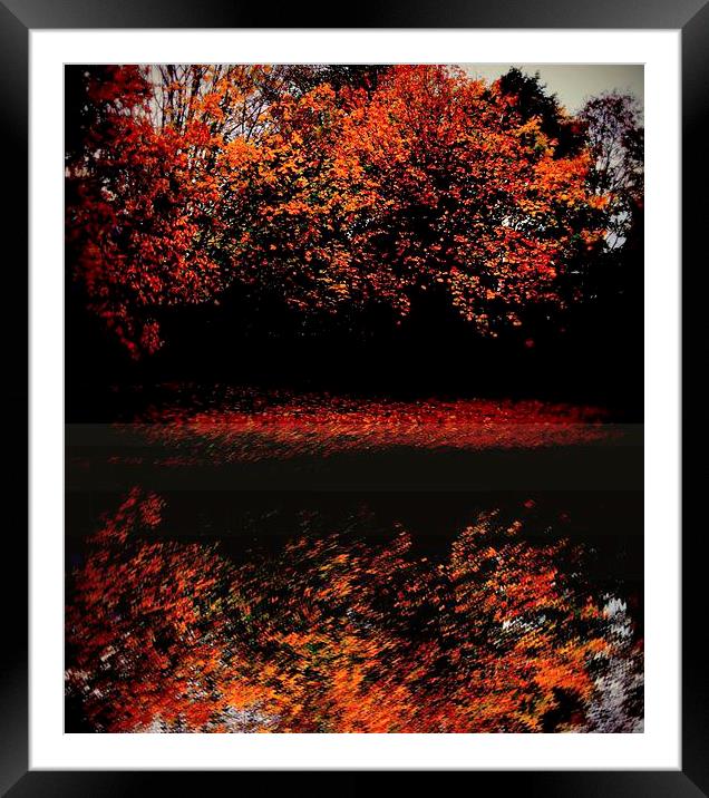 fall time Framed Mounted Print by dale rys (LP)