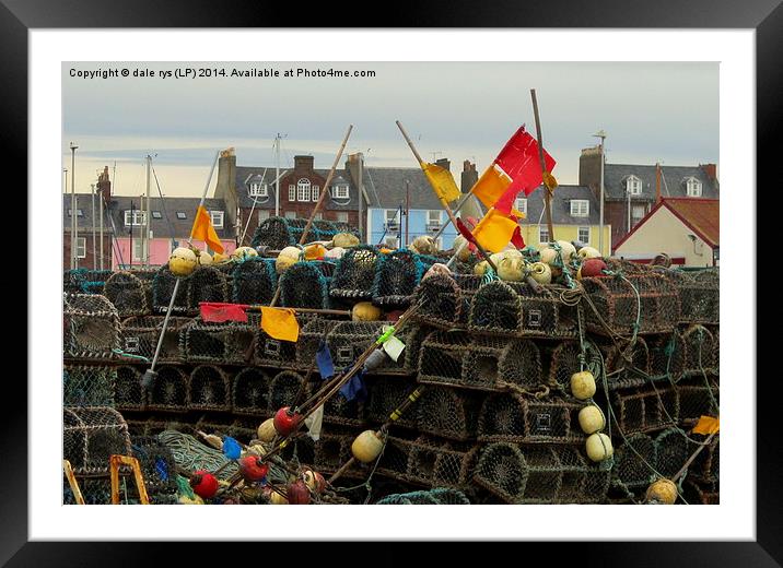 arbroath harbor Framed Mounted Print by dale rys (LP)