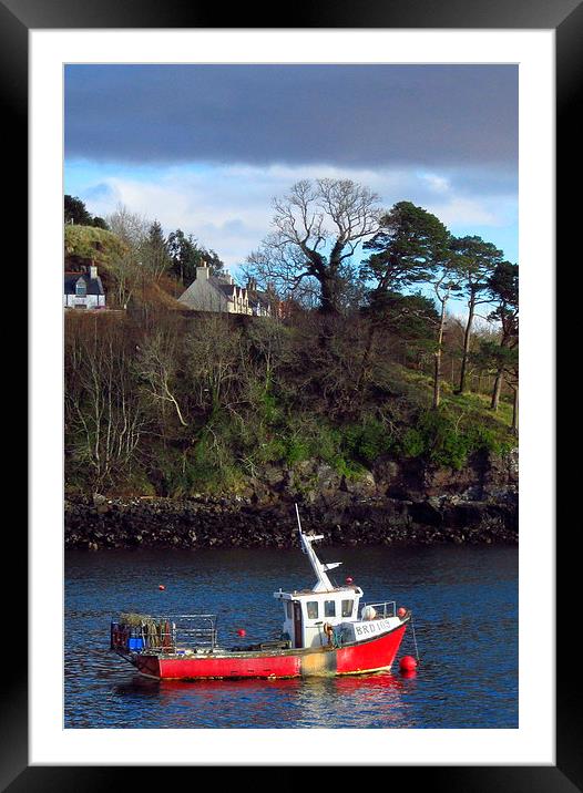 red fishing boat-skye Framed Mounted Print by dale rys (LP)
