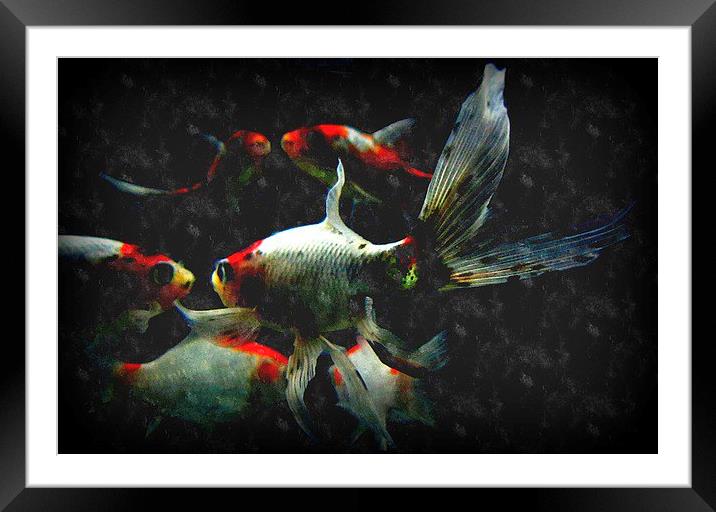 fish life Framed Mounted Print by dale rys (LP)