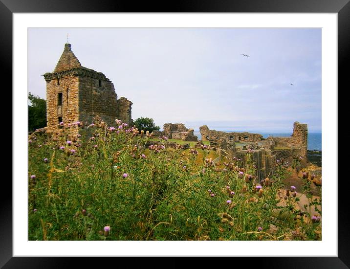  st andrews castle Framed Mounted Print by dale rys (LP)