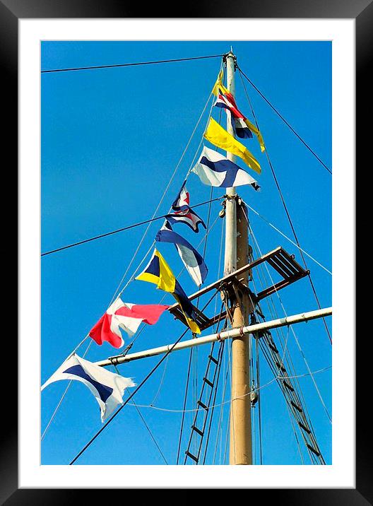  sea flags Framed Mounted Print by dale rys (LP)