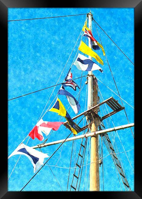  sea flags Framed Print by dale rys (LP)