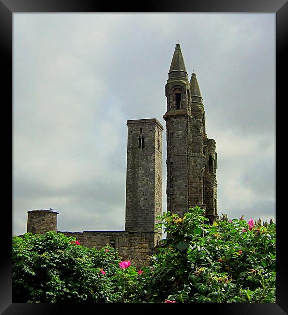  st andrews cathedral Framed Print by dale rys (LP)