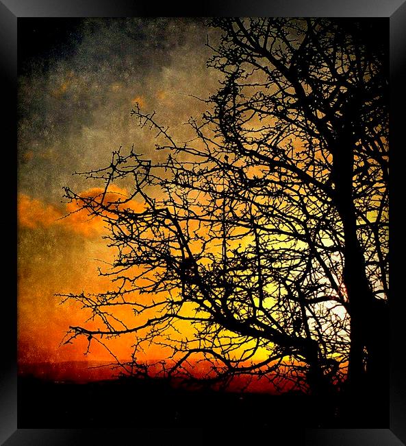  day's end Framed Print by dale rys (LP)