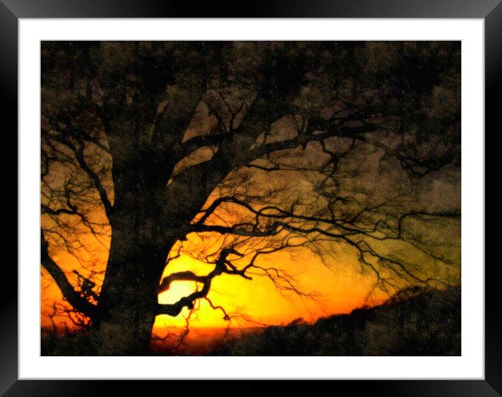 end of day Framed Mounted Print by dale rys (LP)
