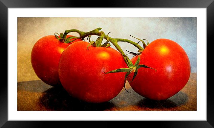  3 IN RED Framed Mounted Print by dale rys (LP)