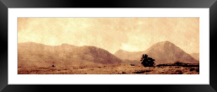  highland mist    Framed Mounted Print by dale rys (LP)