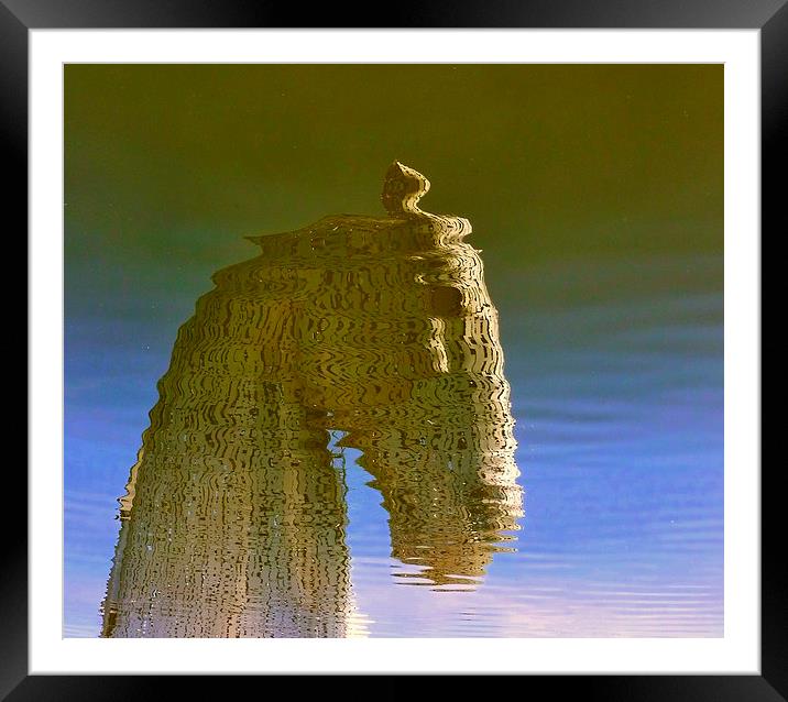  kelpies reflection Framed Mounted Print by dale rys (LP)