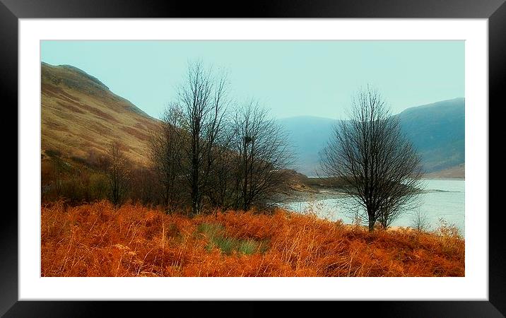  loch cluanie Framed Mounted Print by dale rys (LP)