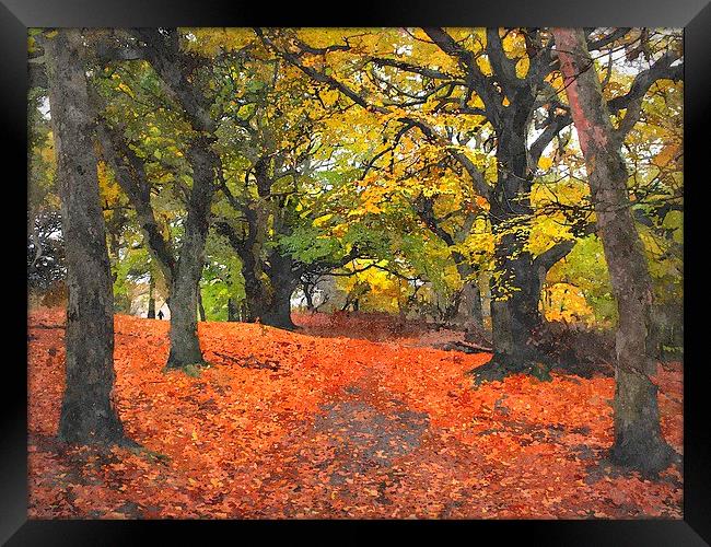  fall   Framed Print by dale rys (LP)