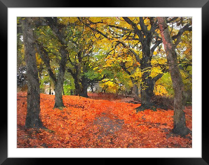  fall   Framed Mounted Print by dale rys (LP)