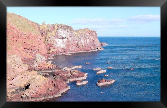  st abbs head Framed Print by dale rys (LP)