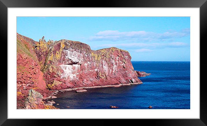  st abbs head  Framed Mounted Print by dale rys (LP)