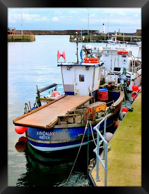  anstruther harbor Framed Print by dale rys (LP)