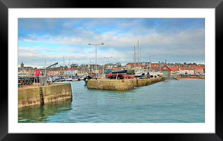  anstruther harbor  Framed Mounted Print by dale rys (LP)