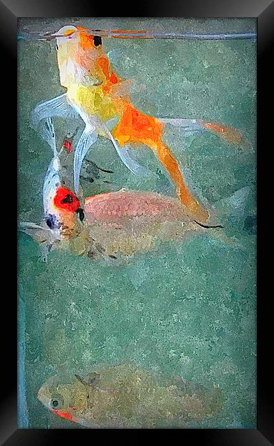  fish life in color Framed Print by dale rys (LP)