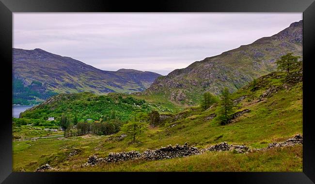 from kintail Framed Print by dale rys (LP)